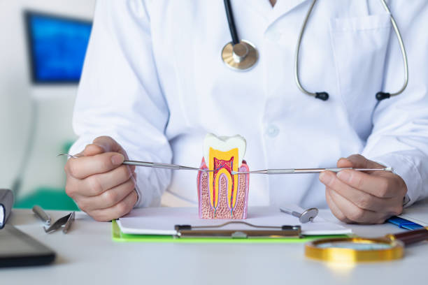 Best Dentist for Tooth Abscess  in Schwenksville, PA